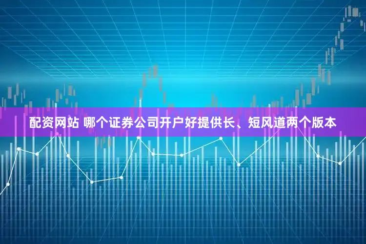 配资网站 哪个证券公司开户好提供长、短风道两个版本