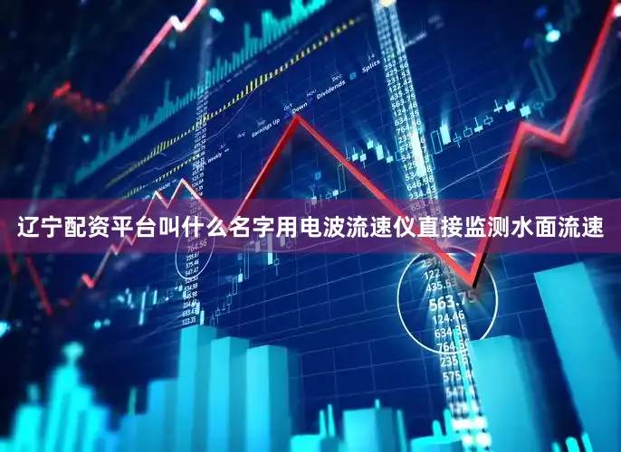 辽宁配资平台叫什么名字用电波流速仪直接监测水面流速